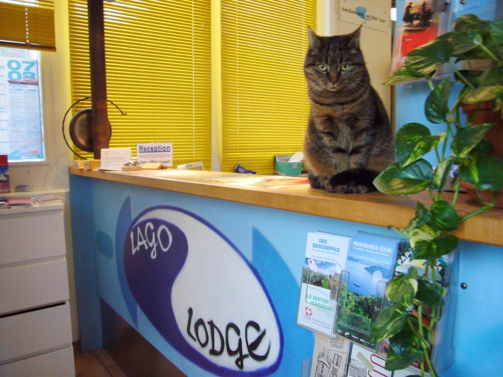 ביאל Swiss Hostel Lago Lodge מראה חיצוני תמונה